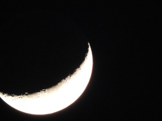 DSCN0004.jpg