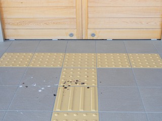 DSCN0028.jpg