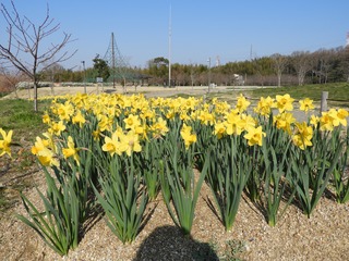 DSCN0030.jpg