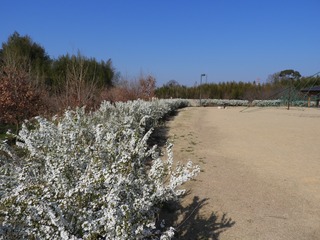 DSCN0035.jpg