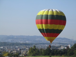 IMG_7373.jpg