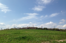 IMG_3591.JPG